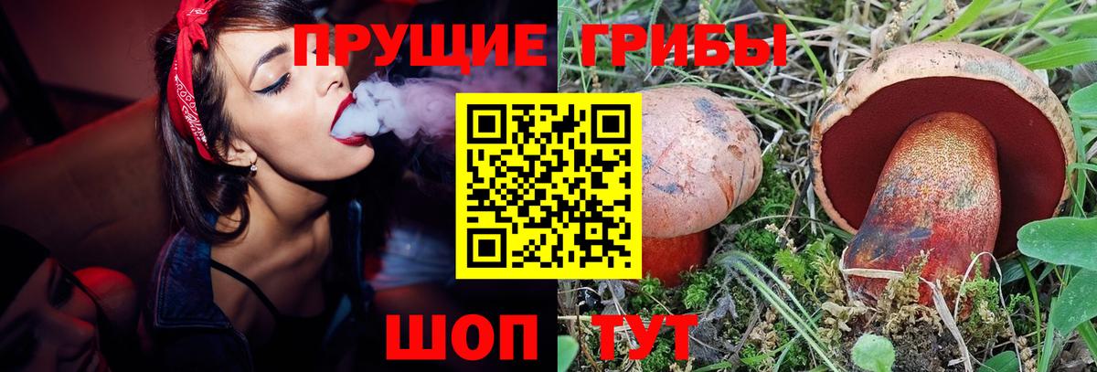 Галлюциногенные грибы MAGIC MUSHROOMS Дивногорск