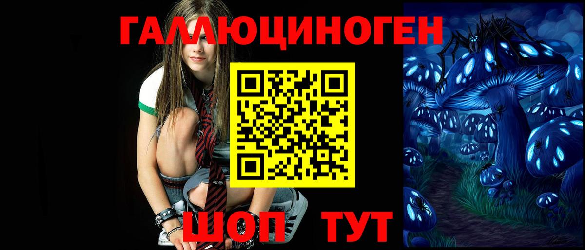Галлюциногенные грибы MAGIC MUSHROOMS  Псилоцибиновые грибы мицелий  купить   Вход с VPN  Дивногорск 